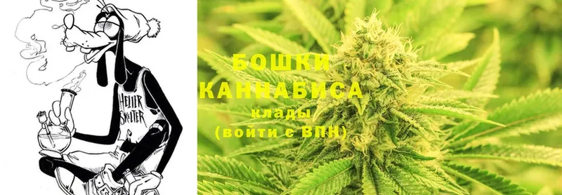 где найти   Курчатов  Канабис White Widow 